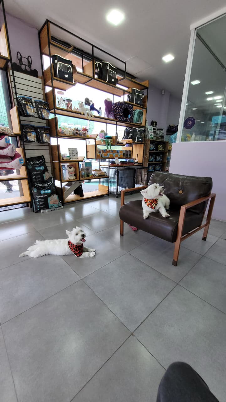 Pets na recepção da LabellaPets